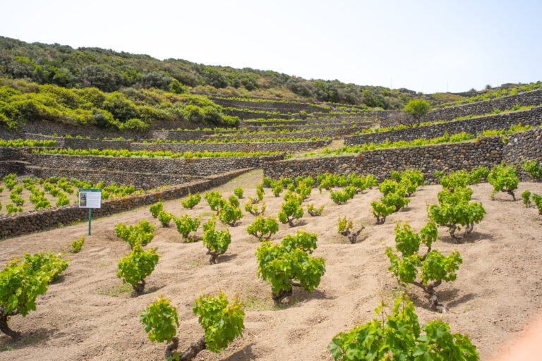Pantelleria