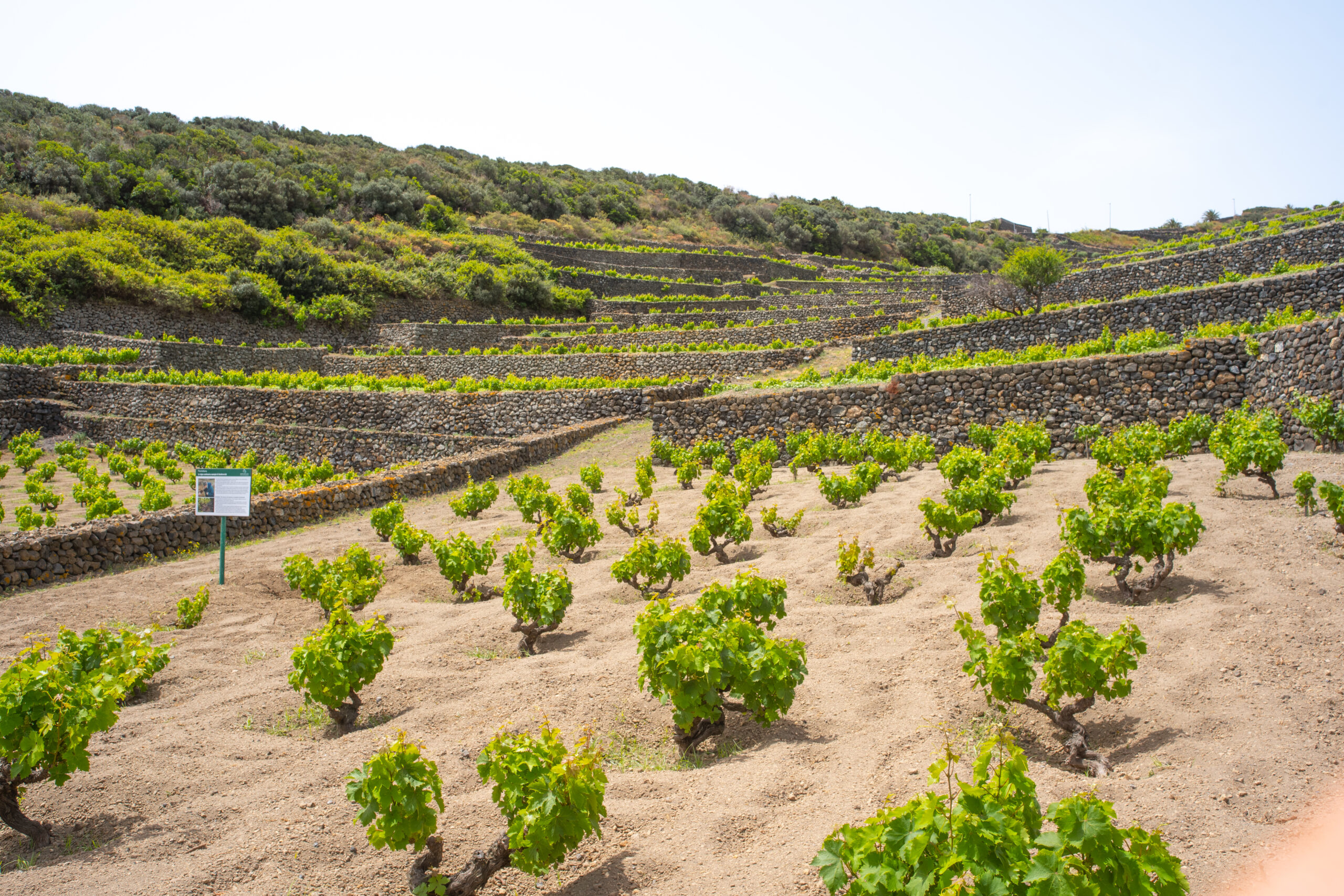 Pantelleria