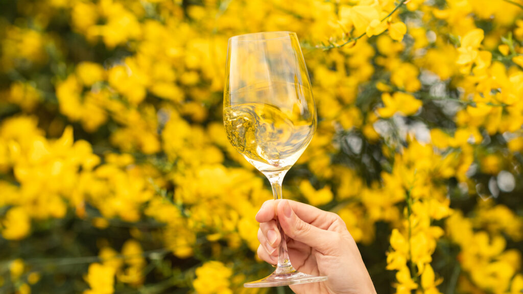 „Cantine aperte“: Entdecke die Welt von Donnafugata