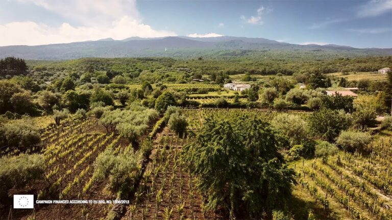 Donnafugata: eine großartige Reise in das Ätna-Anwesen