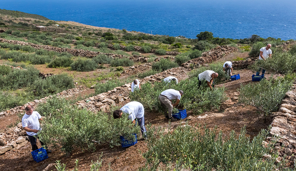 Biancolilla, die Geschmäcker und einzigartigen Emotionen von Pantelleria