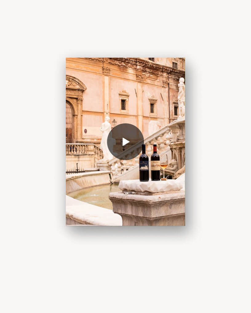 Video Gallery