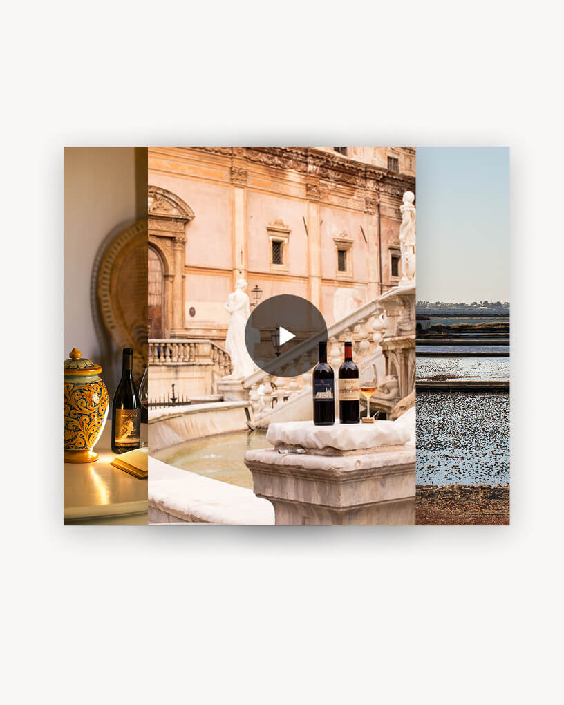 Video Gallery