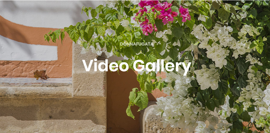 Video gallery