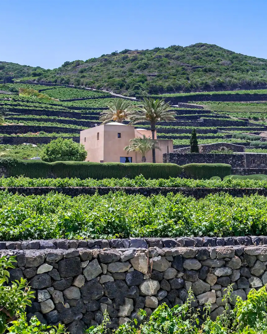 Pantelleria